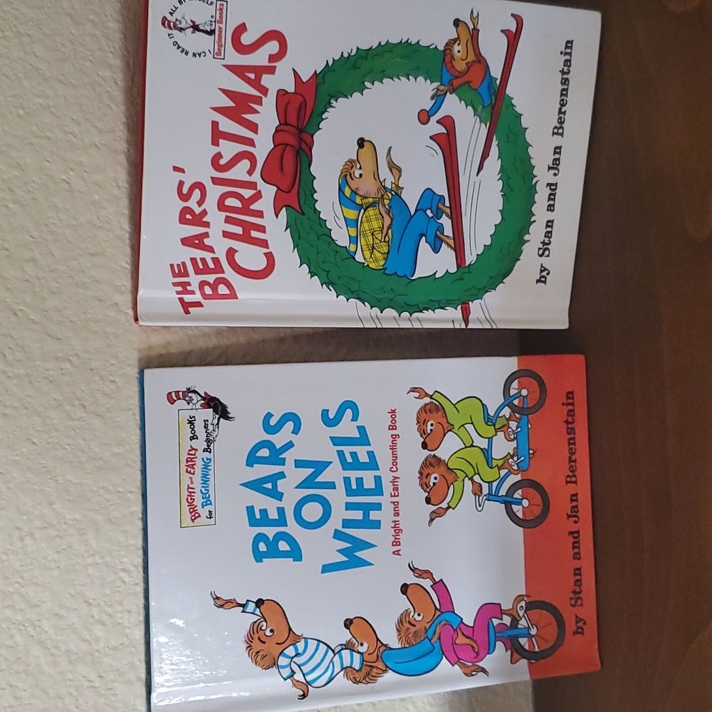 Vintage Bernstein Bears Family books (set of 10)